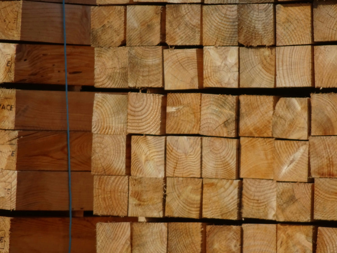 Wood used for walking canes — comparing decorative carved canes with everyday support canes